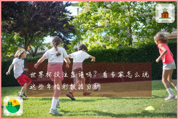 世界杯投注靠谱吗？看专家怎么说这些年精彩数据分析